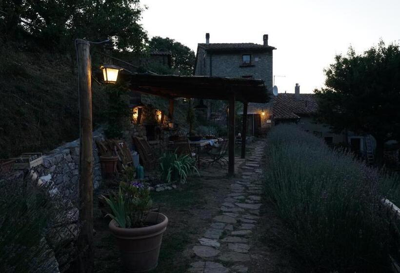 교외 호텔 Agriturismo La Colombella