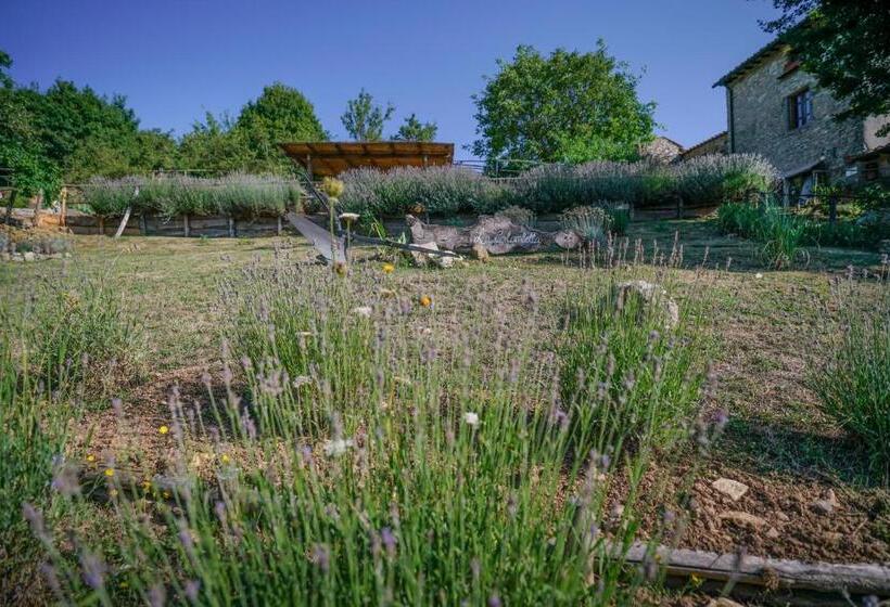 교외 호텔 Agriturismo La Colombella