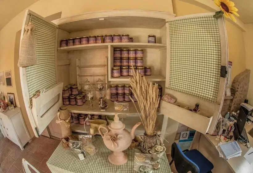 田舎風ホテル Agriturismo Podere Diamante