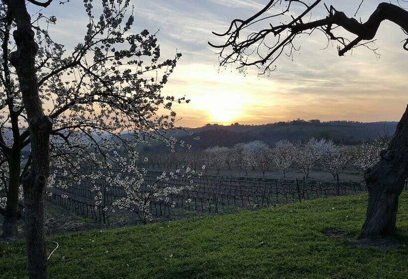 فندق ريفى Il Giardino Dei Ciliegi
