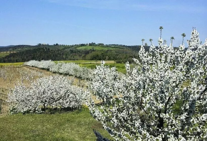 田舎風ホテル Il Giardino Dei Ciliegi