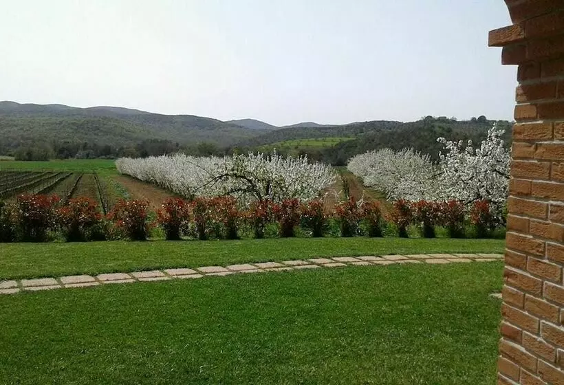 田舎風ホテル Il Giardino Dei Ciliegi