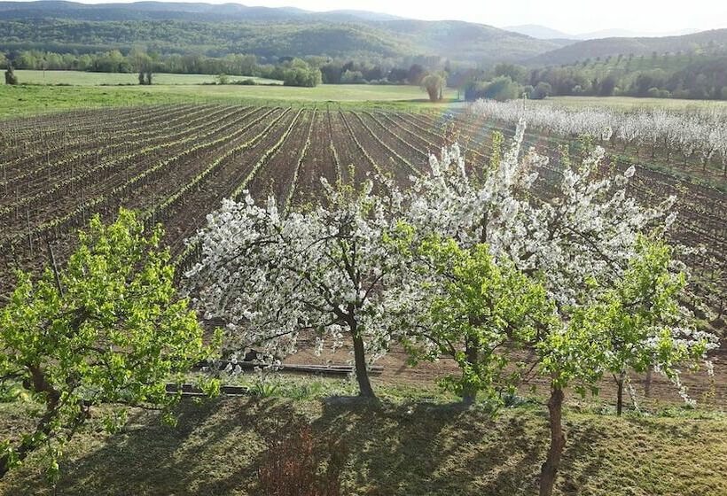 فندق ريفى Il Giardino Dei Ciliegi