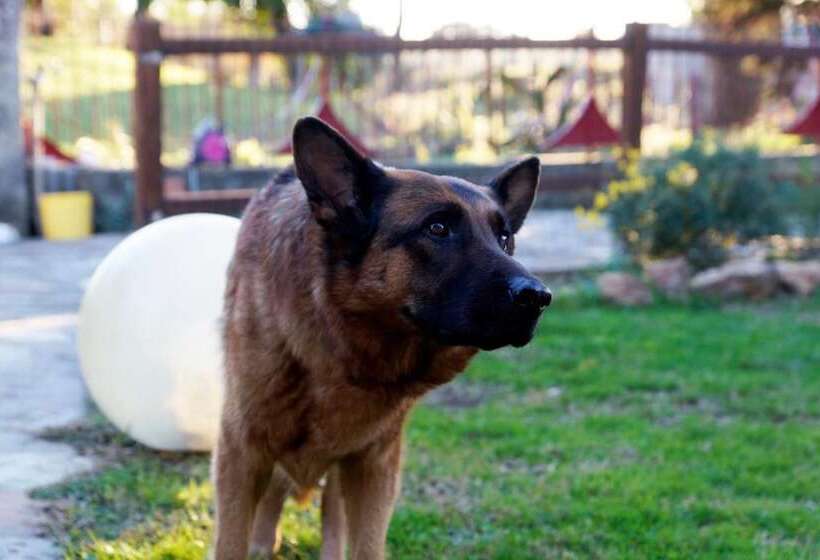 هتل روستایی Molino Della Volta