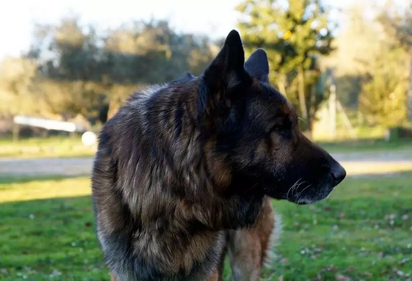 هتل روستایی Molino Della Volta