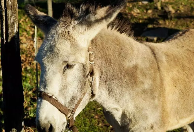 هتل روستایی Molino Della Volta