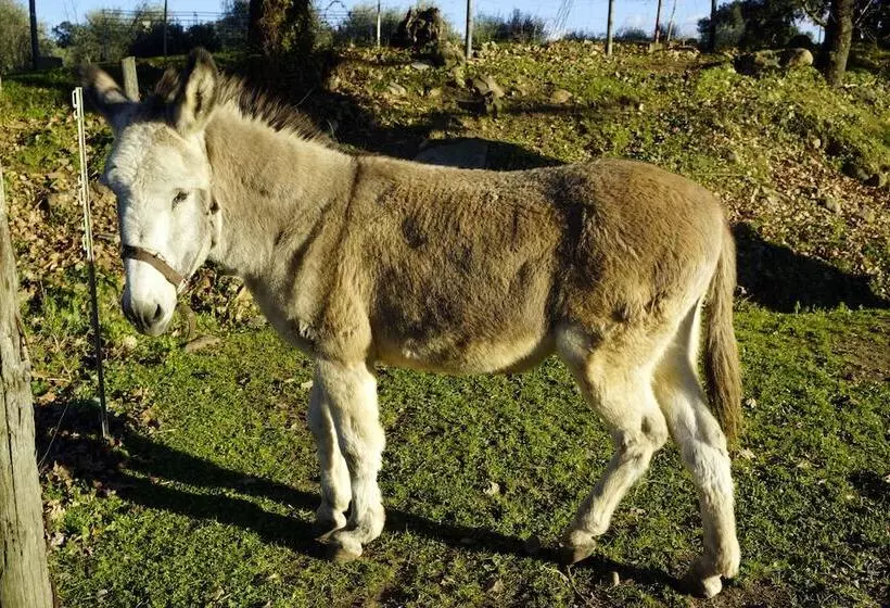هتل روستایی Molino Della Volta