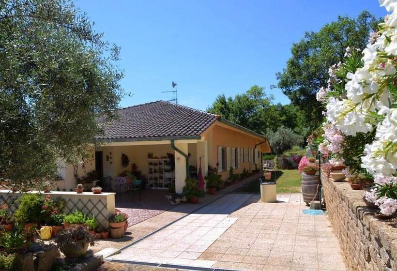 B&b Torre Del Lago Trasimeno