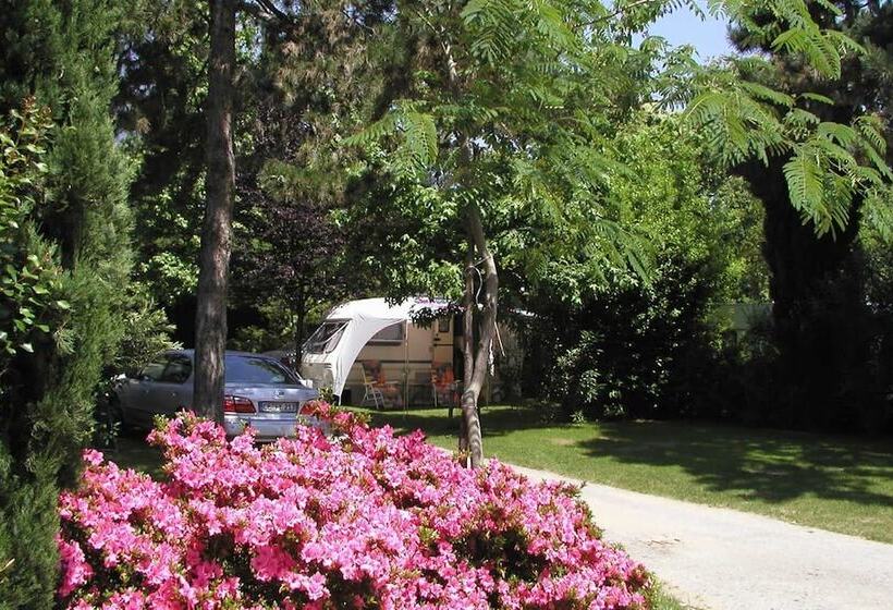 هتل Camping Riviera