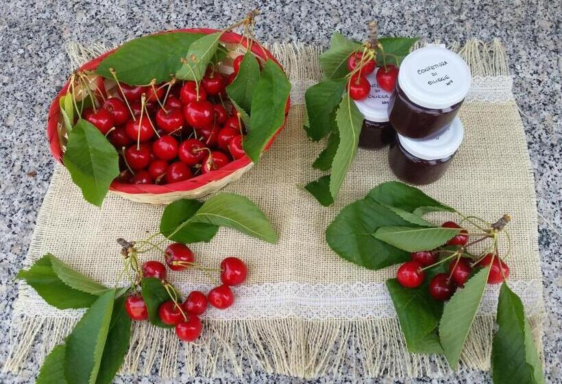 فندق ريفى Fattoria La Cona