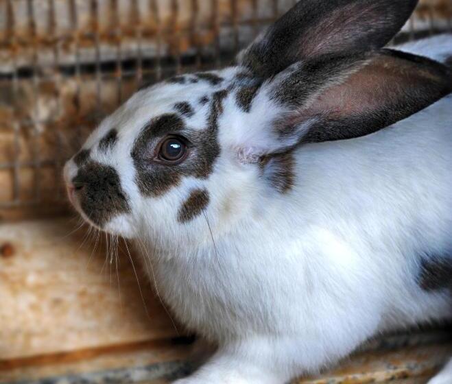 فندق ريفى Fattoria La Cona