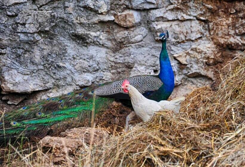 فندق ريفى Fattoria La Cona