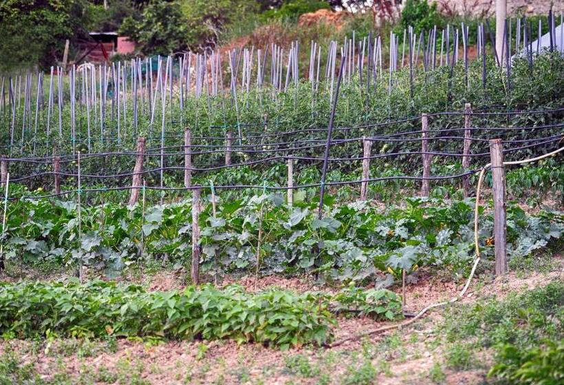 فندق ريفى Fattoria La Cona