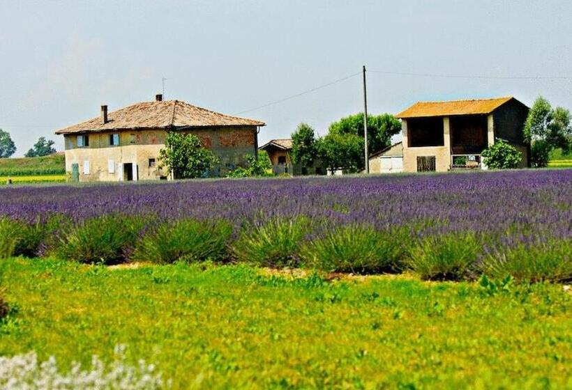 בית מלון כפרי Il Murello