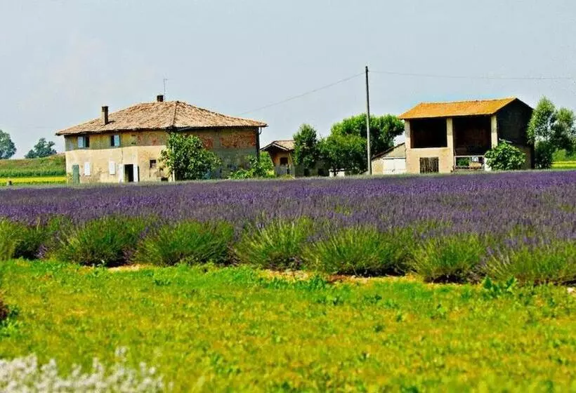 Maaseutuhotelli Il Murello