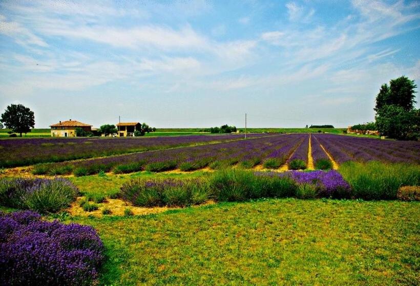 בית מלון כפרי Il Murello