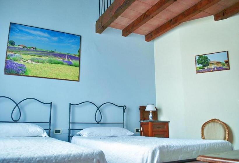 בית מלון כפרי Il Murello