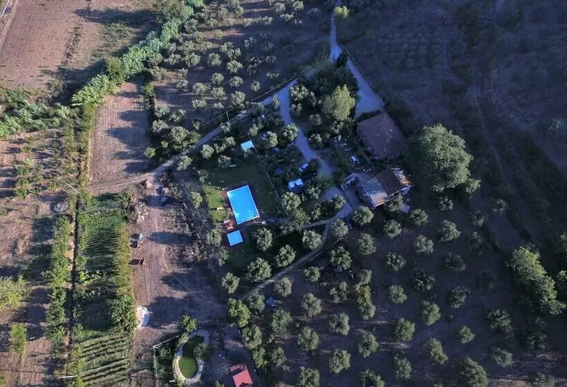 Maaseutuhotelli La Gabbianella E Il Gatto