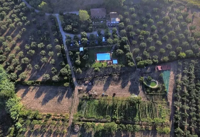 Maaseutuhotelli La Gabbianella E Il Gatto