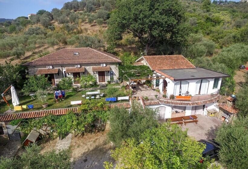 乡村酒店  La Gabbianella E Il Gatto