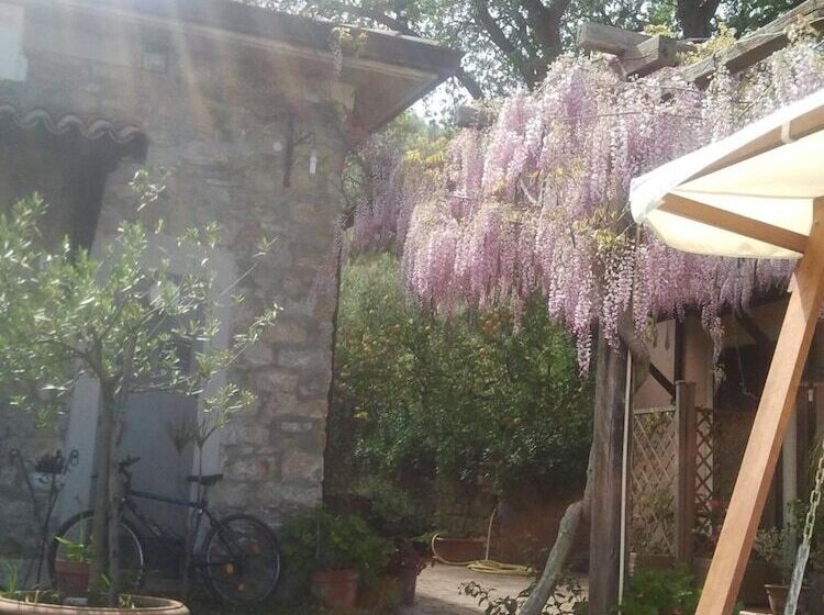 乡村酒店  La Gabbianella E Il Gatto