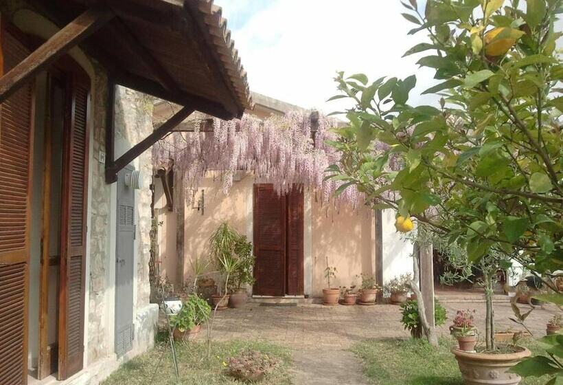 乡村酒店  La Gabbianella E Il Gatto