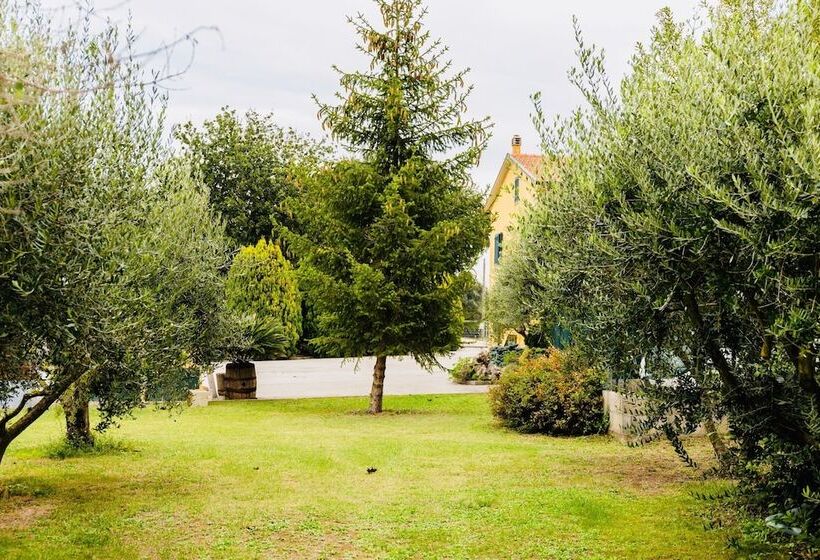 住宿加早餐 Il Casale Di Nonno Guido