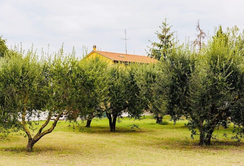 住宿加早餐 Il Casale Di Nonno Guido