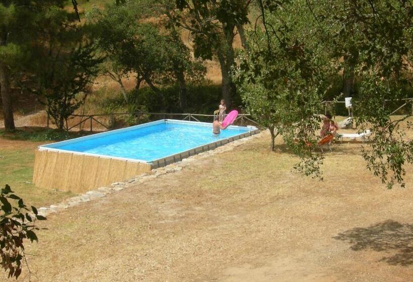 בית מלון כפרי Agriturismo Poggio Macinaio