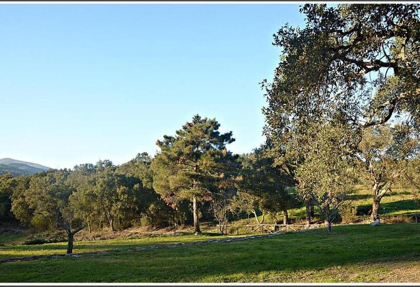 בית מלון כפרי Agriturismo Poggio Macinaio