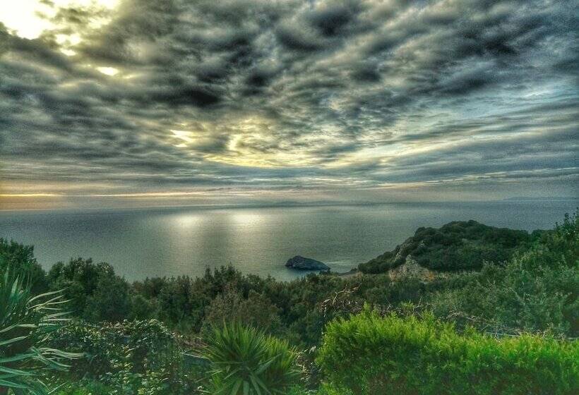 بنسيون Villino Sabiana