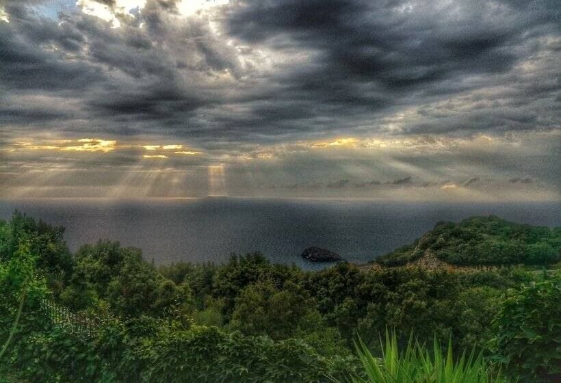 بنسيون Villino Sabiana