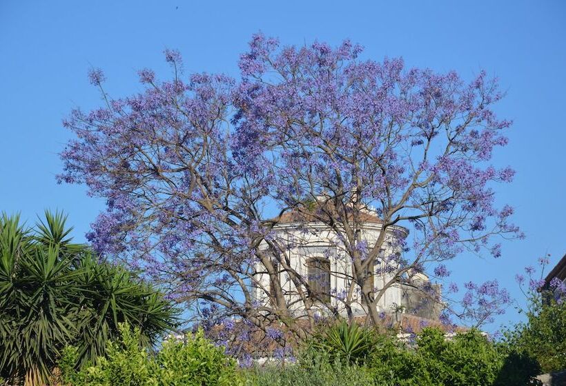 B&b Vicolo Del Chiostro