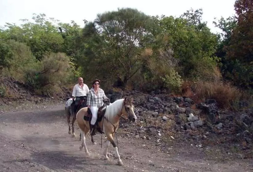 B&b Vicolo Del Chiostro