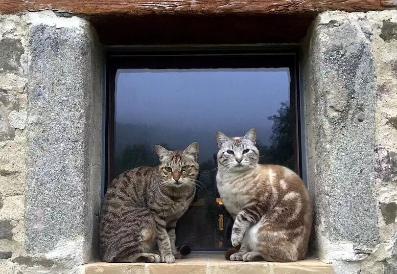 田舎風ホテル Le Case Della Buca Agriturismo Ed Agricampeggio
