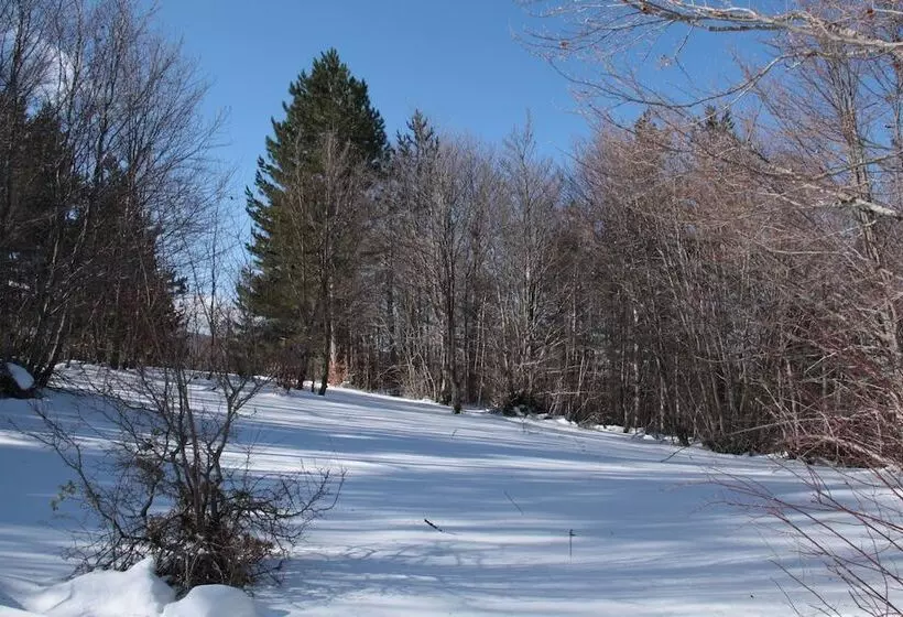 National Park Hotel & Spa