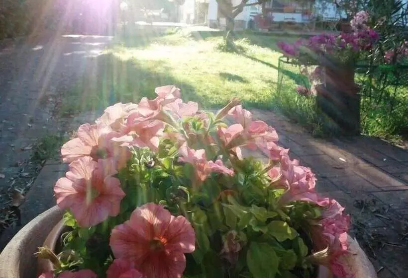 B&b Villa Due Pini