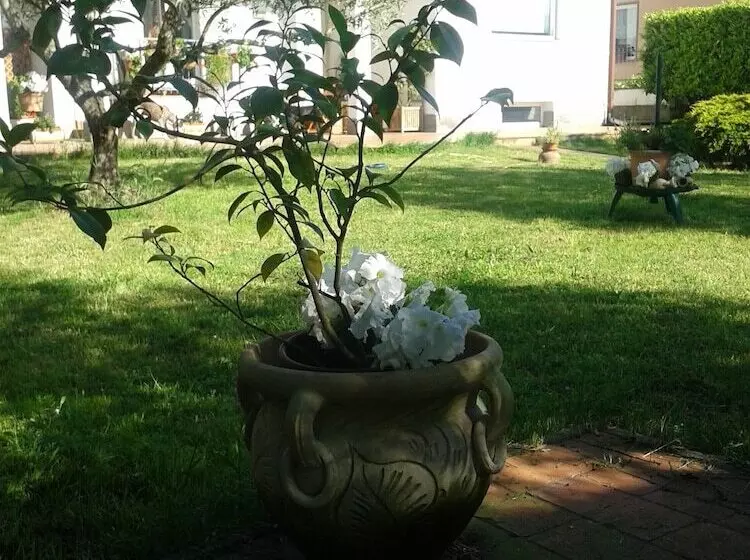 B&b Villa Due Pini