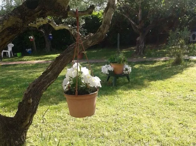 B&b Villa Due Pini