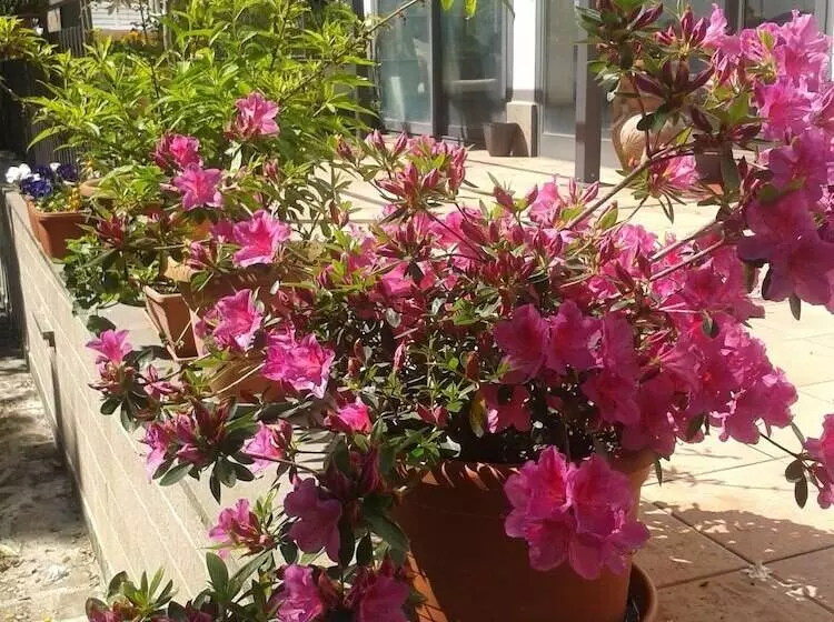 B&b Villa Due Pini