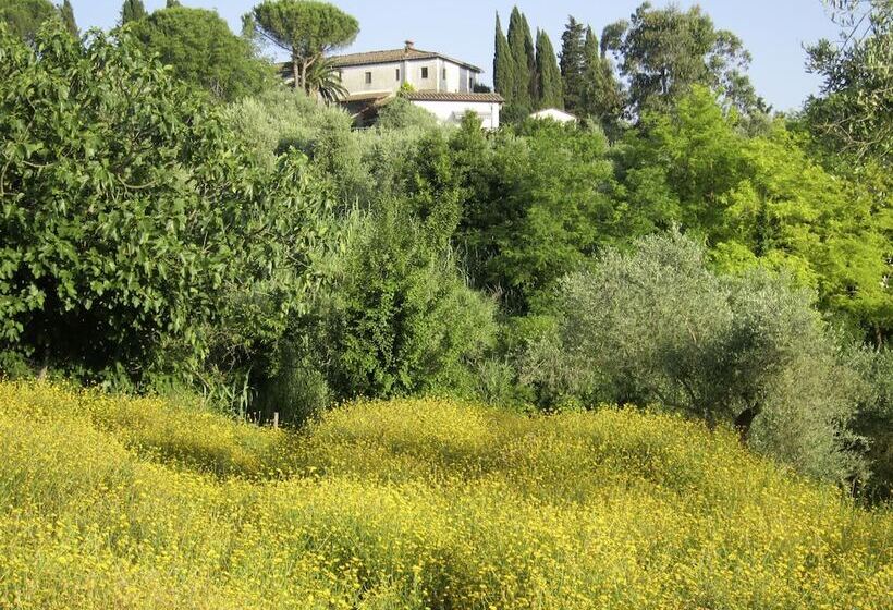 Отель Albergo Montechiari