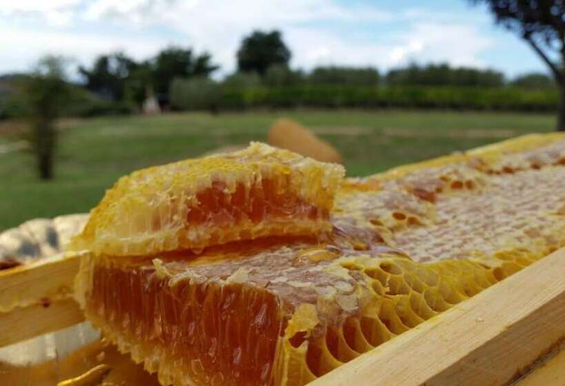 田舎風ホテル I Sicomori Seme Di Carota Glamping E Appartamenti Con Piscina A Saturnia