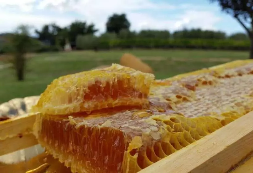 Maaseutuhotelli I Sicomori Seme Di Carota Glamping E Appartamenti Con Piscina A Saturnia