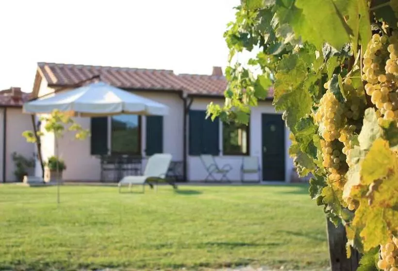 Maaseutuhotelli I Sicomori Seme Di Carota Glamping E Appartamenti Con Piscina A Saturnia