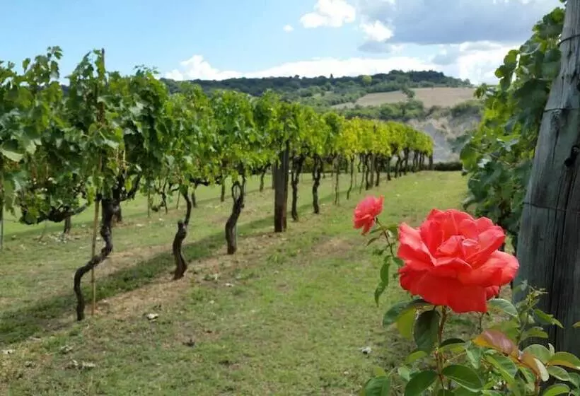 Maaseutuhotelli I Sicomori Seme Di Carota Glamping E Appartamenti Con Piscina A Saturnia