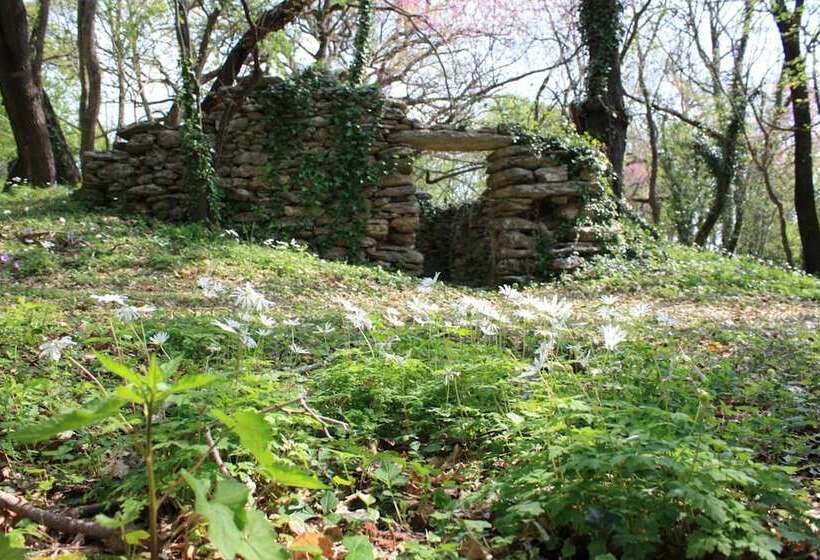 田舎風ホテル I Sicomori Seme Di Carota Glamping E Appartamenti Con Piscina A Saturnia