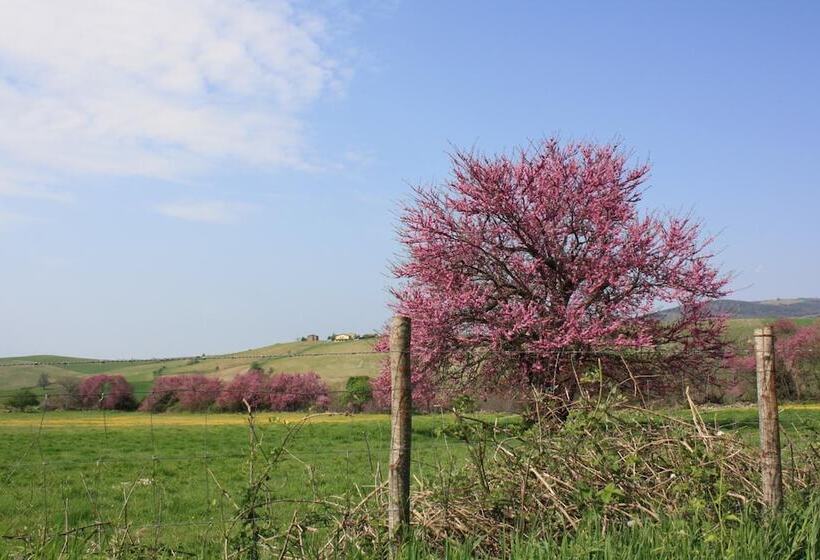 田舎風ホテル I Sicomori Seme Di Carota Glamping E Appartamenti Con Piscina A Saturnia