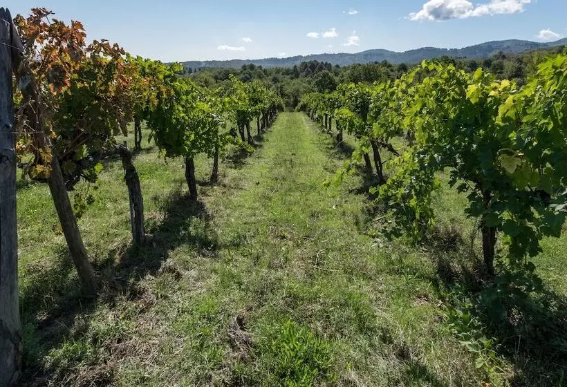 Maaseutuhotelli Tenuta San Jacopo