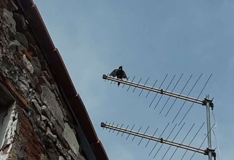 Pension (Hôtel basse catégorie) Gessy S