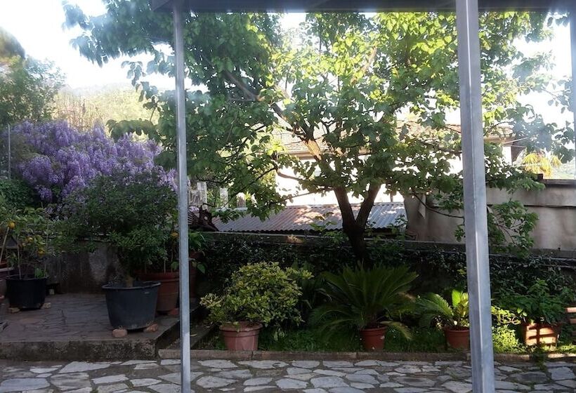 Pension (Hôtel basse catégorie) Gessy S